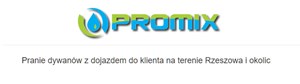 Pranie dywanów z dojazdem do klienta na terenie Rzeszowa i okolic