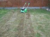 Wertykulacja trawników Boguchwała, Czudec, Babica, Strzyżów