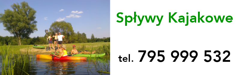 Spływy Kajakowe rzeką Wisłok, wynajem kajaków