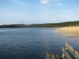 04c5f2f4-3ab0-49a3-ae73-7b40bee7ae39.jpeg