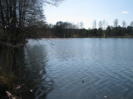 0c21e3d1-636c-4b18-b0db-b40d24cc8e93.jpeg