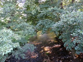 0f992091-aeb4-4c92-9260-39b10d111c78.jpeg