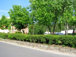 1144ba9f-73bd-4cd8-8d50-434d12832f33.jpeg