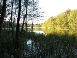 13d86965-294e-4100-ace8-f5fd64cb625c.jpeg