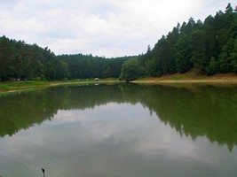 15a50318-b878-4059-b334-2bfe17711cc1.jpeg