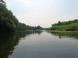 1830ae1f-0d10-431d-9895-e6b791ddf69a.jpeg