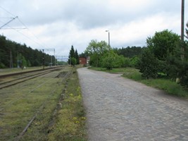 1c5a1871-cef7-4c04-9a01-3ccc6591b159.jpeg