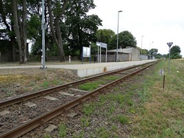 3b14b14e-c015-49af-9d71-8d5007732cdb.jpeg