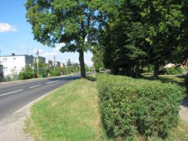 3cd03dc9-070b-467a-b34d-61fe62b52771.jpeg
