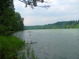 44eebd99-5e94-4d87-9592-a113575d0c7e.jpeg