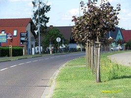 4c34092a-583e-4bd6-9da2-7bf4fc86e73c.jpeg