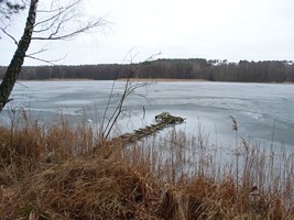 8cdc9ae0-78f1-496f-8d02-f3d39ec6c8f1.jpeg