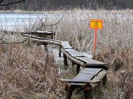 94c5608f-600d-4016-bc72-d6d191c389fe.jpeg