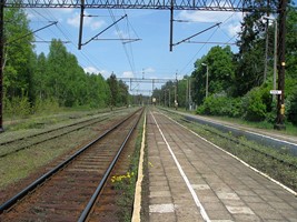 bb41fae2-f70c-49e8-938f-fe4a4ea0d50e.jpeg