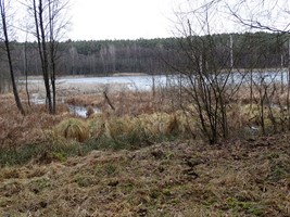 c1461366-288c-4331-912a-b05078437b82.jpeg