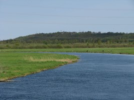 c265c0d9-2840-4de7-9e2d-48b353cfc135.jpeg