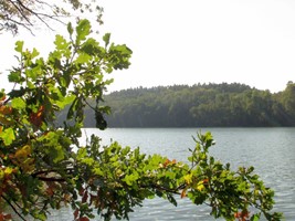 cd5908ee-2c27-4f25-9c7c-6633786185d9.jpeg