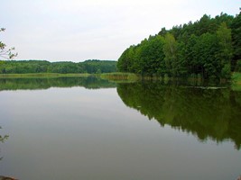 d31abe64-cbbc-42a7-8648-28f76c8f496b.jpeg