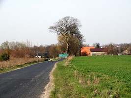 da221029-c5cd-4f81-adce-b4cb25a7b204.jpeg