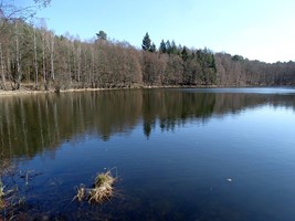 Jezioro Tarnowskie
