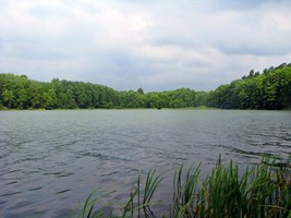f9889779-1273-4ba0-8a54-91f5d9cd07a8.jpeg
