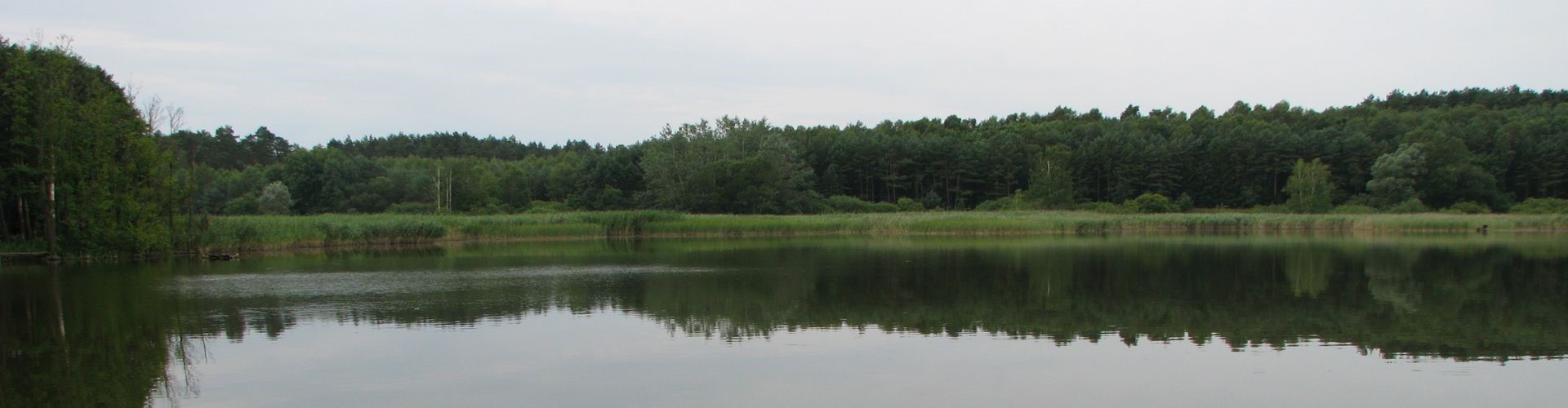 Jezioro Lachotka (zwane też Głochotczyno, Łachotka) położone na terenie gminy Szydłowo , powiat pilski , województwo wielkopolskie.