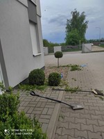 e8463211-8d01-4457-9e9b-f9a0cff32e63.jpeg
