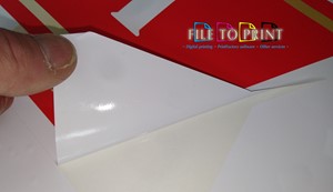 5d588de9-fb1d-4cf3-bb8d-e22b69dc04dd.jpeg