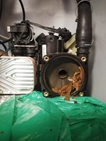 0317f997-c524-4a3a-8c48-be81addbc35e.jpeg